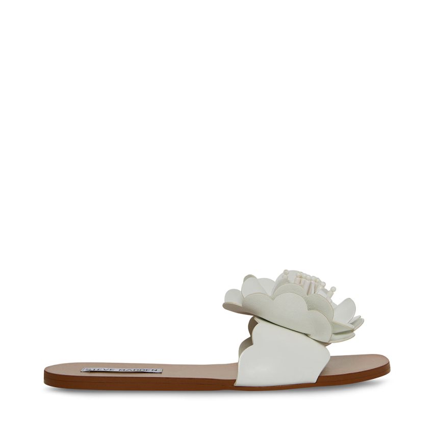 Sandalias Planas Steve Madden Chelsea Mujer Blancas | ES BCE218